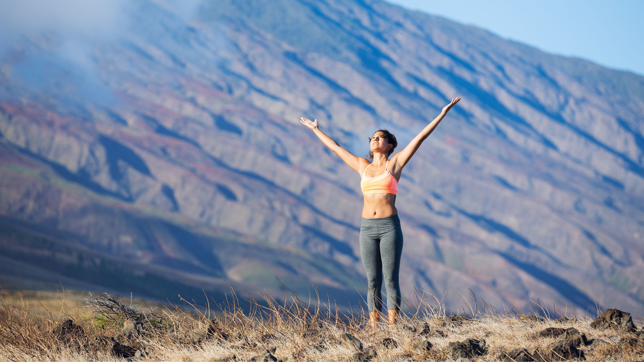 Wellness with Harmony